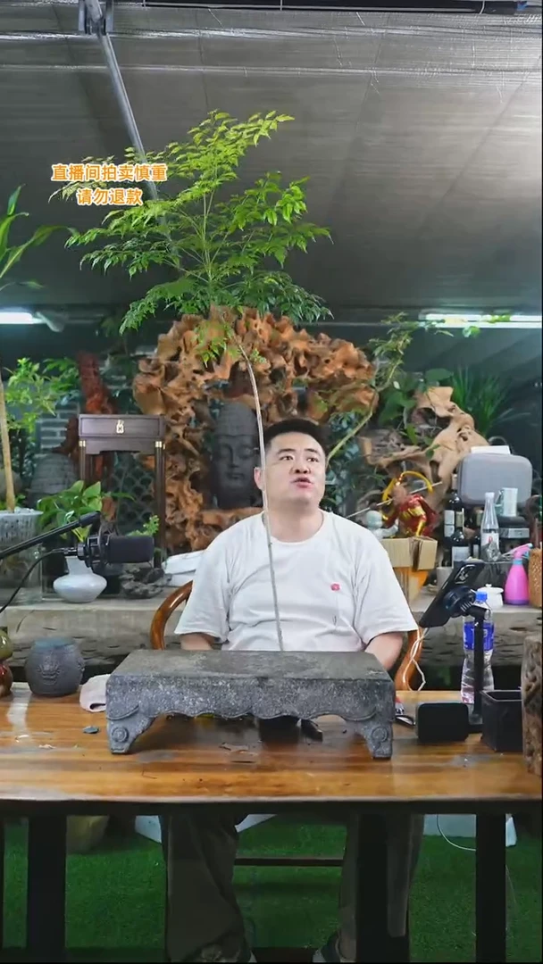 完全开放幸福树360+
