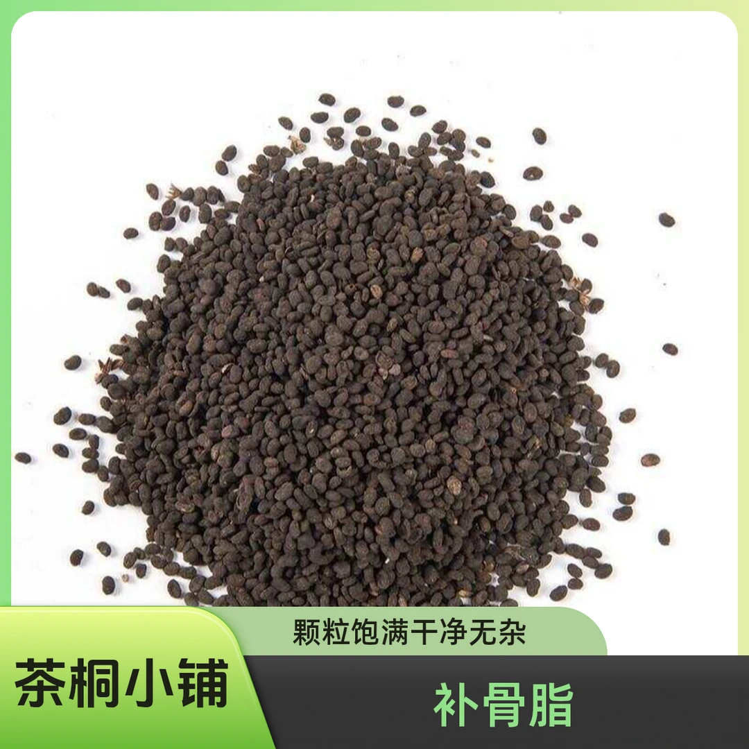 茶桐小铺【补骨脂】正宗 高品质 补骨脂 可搭配韭菜子 杜仲