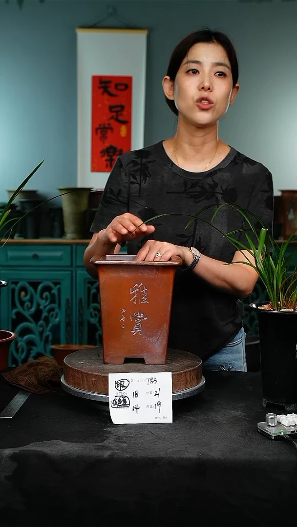 紫砂花盆&783瑕疵颜色机选