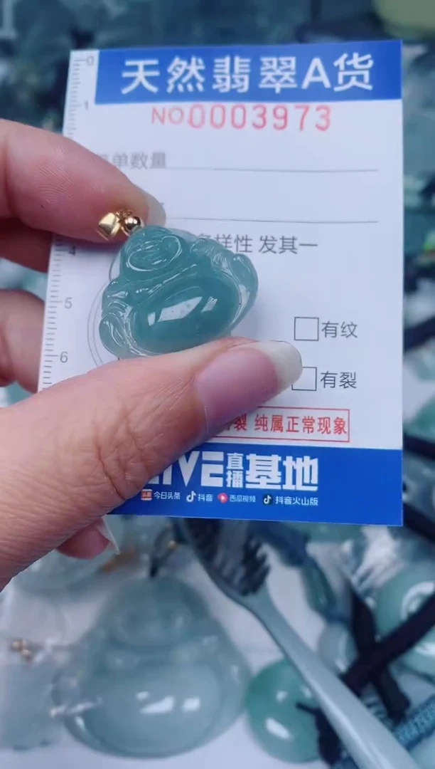 颈饰未镶嵌翡翠00003973