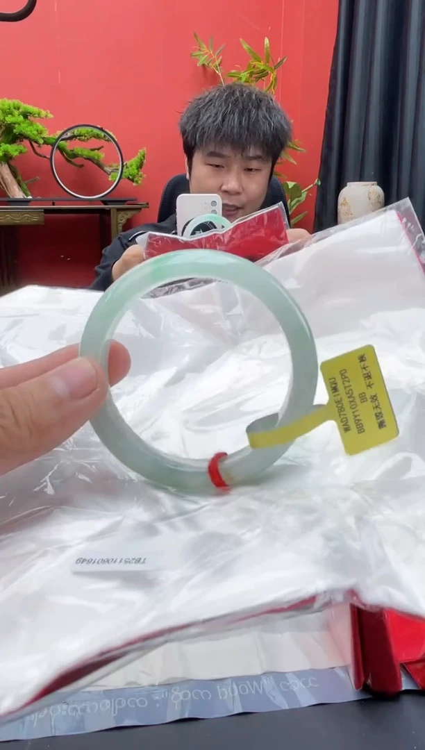 未镶嵌手镯翡翠12