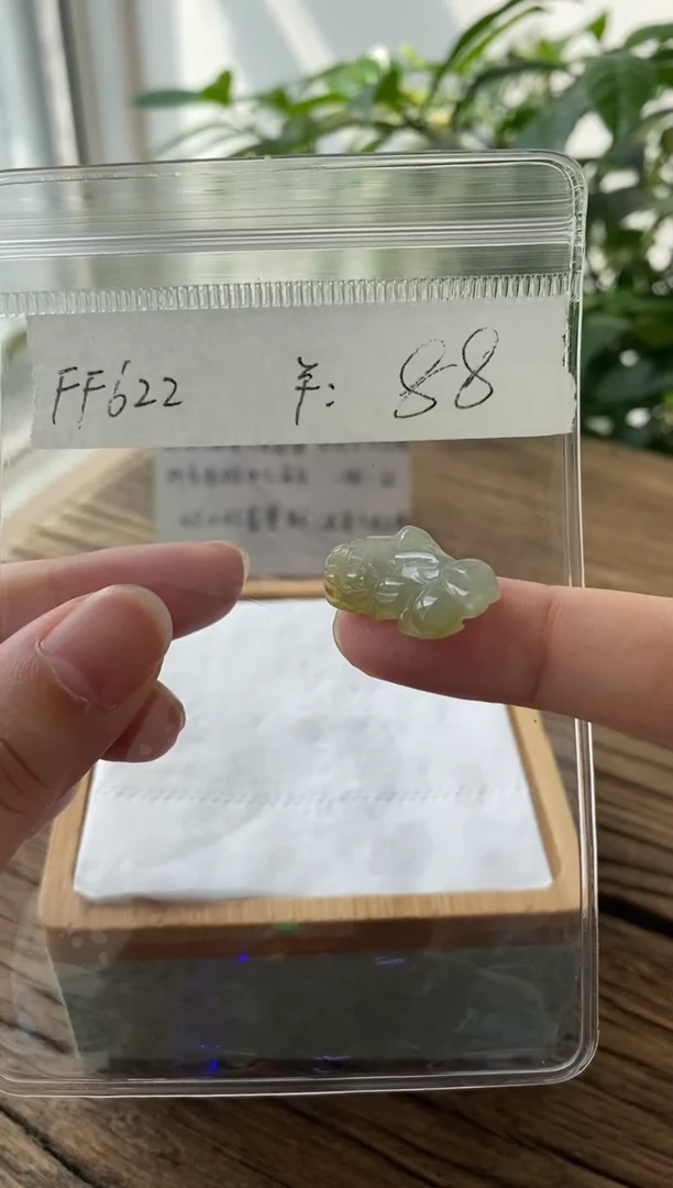 翡翠未镶嵌吊坠(不含链)FF 622