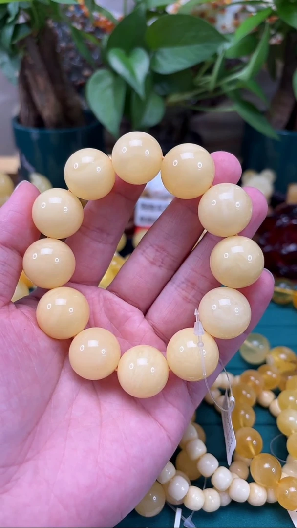 手链蜜蜡未镶嵌p36臻品白蜡单圈 49.25克 19.2mm