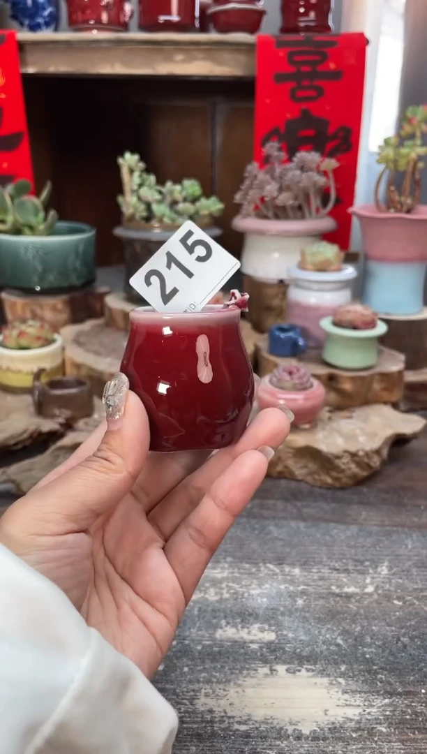 【闪购商品】摆件215微瑕知木小芳花盆