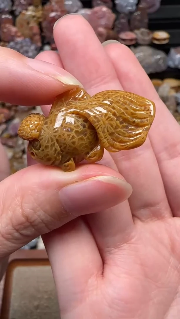 颈饰未镶嵌硅化珊瑚（珊瑚玉）189