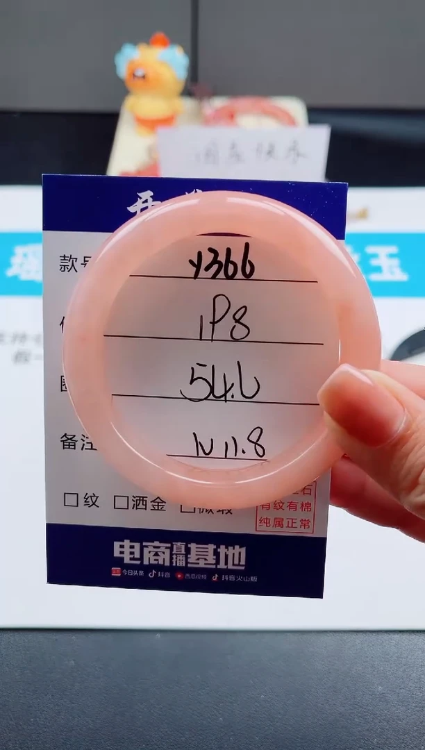 未镶嵌手镯石英质玉Y366--54.6