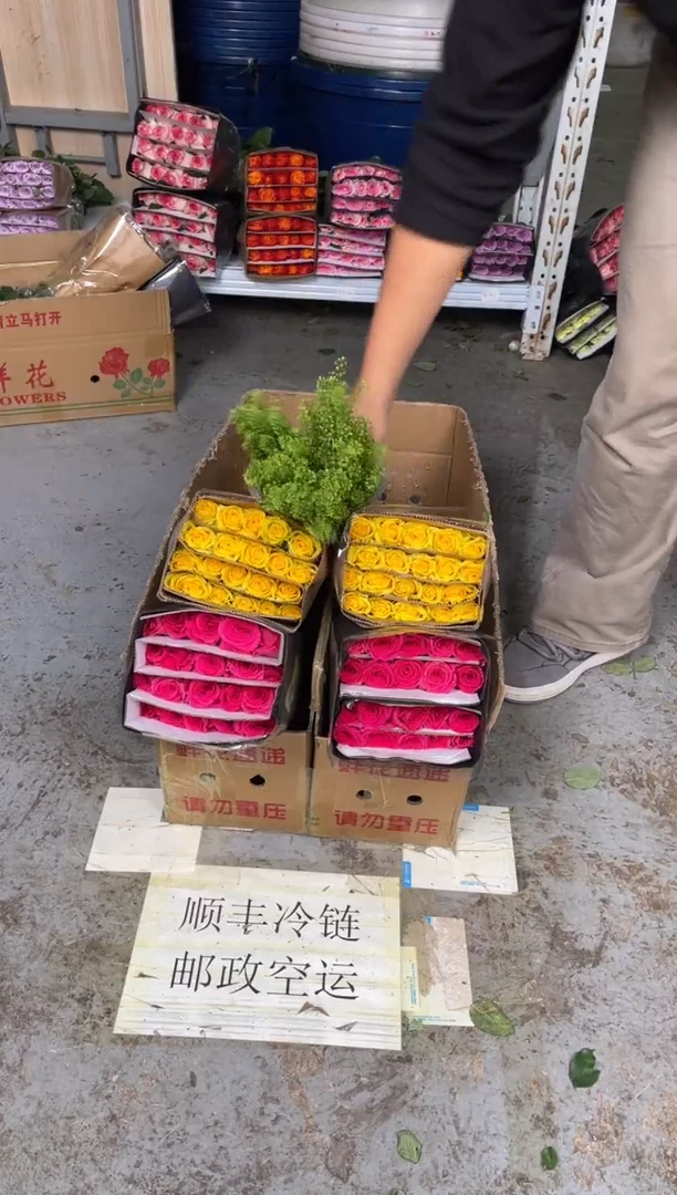 佛洛依德20枝+黄玫瑰20枝+绿林草