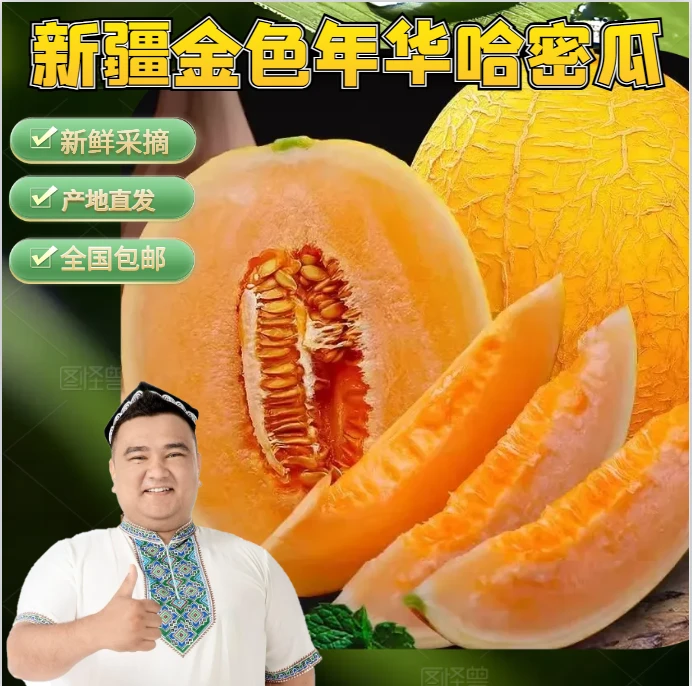 新疆空运直发 正宗火焰山脚下的金色年华哈密瓜脆甜可口全国包邮