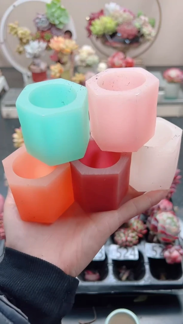 【闪购商品】糖果六边盆五个组合（微瑕疵）