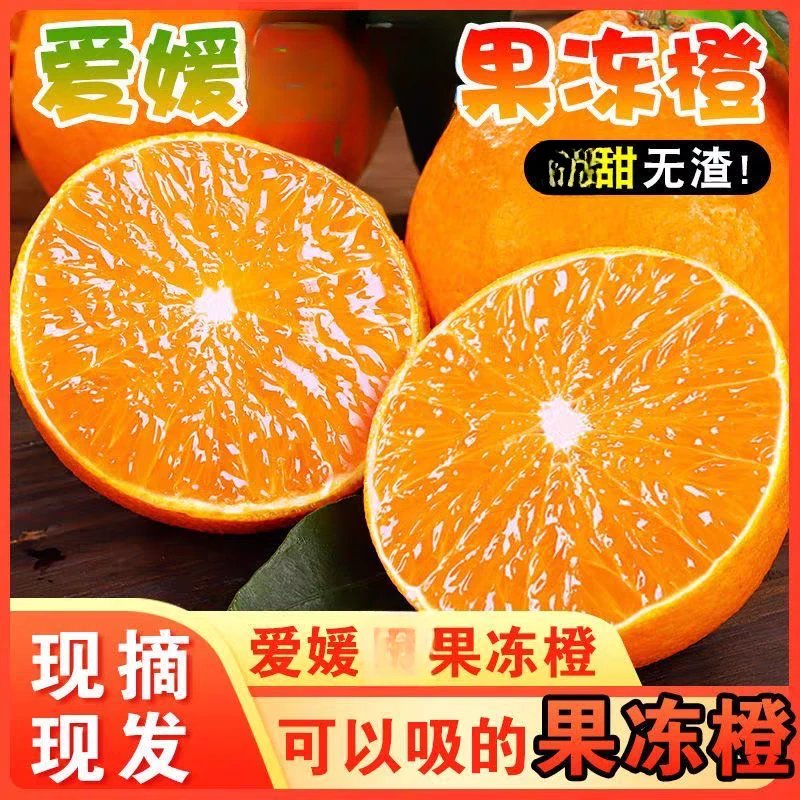 现摘云南爱媛果冻橙高原橙子皮薄多汁酸甜红美人新鲜当季