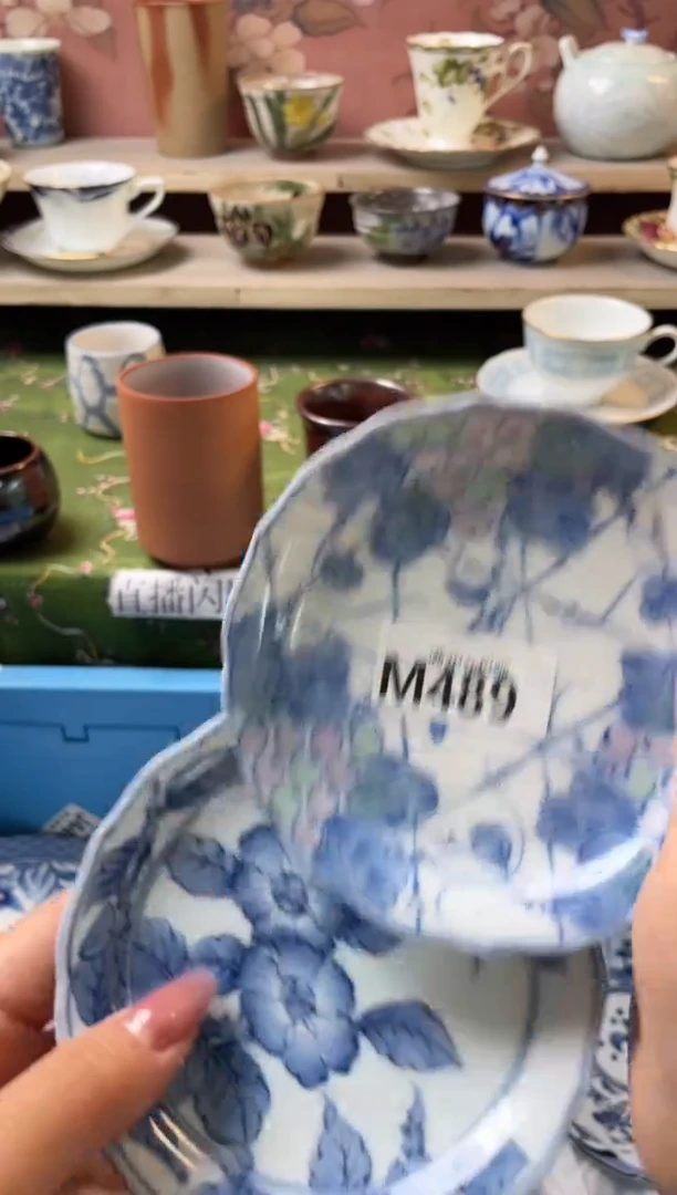 瓷片菜*瓷器瓷器M489