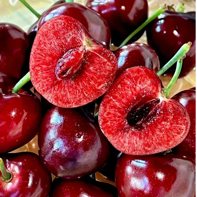 本地五十家子美早樱桃    100元3斤 2LL俄罗斯8号美早