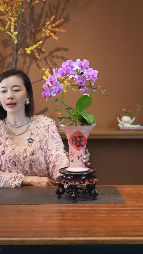 全部花朵粉珠帘旺旺盆盆景盆景