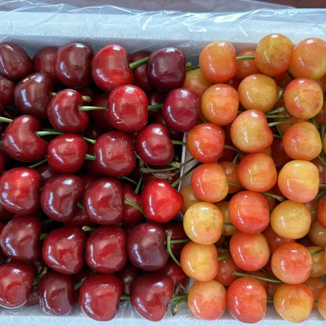 【现摘】黄蜜美早红黄双拼大樱桃新鲜当季3-5斤 纯甜软糯 顺丰冷链
