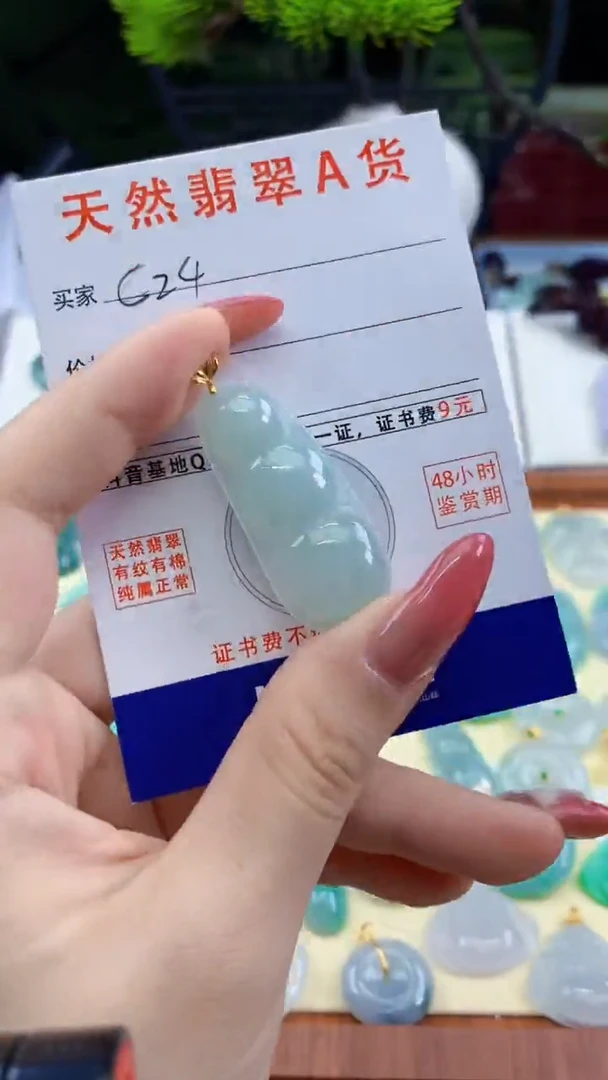 颈饰未镶嵌翡翠天然A货翡翠挂件
