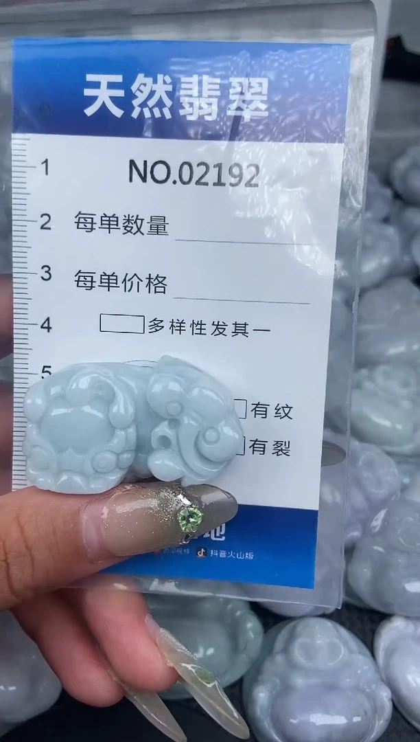 颈饰未镶嵌翡翠纯天然A货翡翠2192