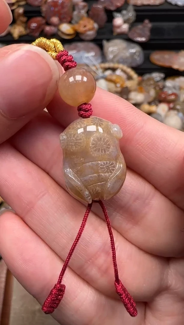 硅化珊瑚（珊瑚玉）未镶嵌颈饰171
