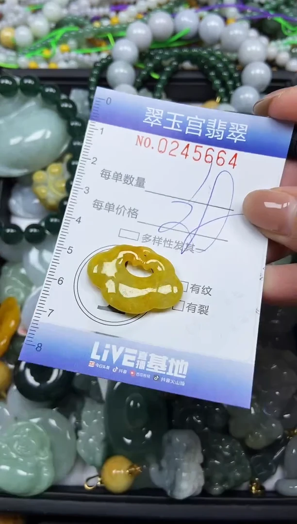 颈饰未镶嵌翡翠闪购C0245664