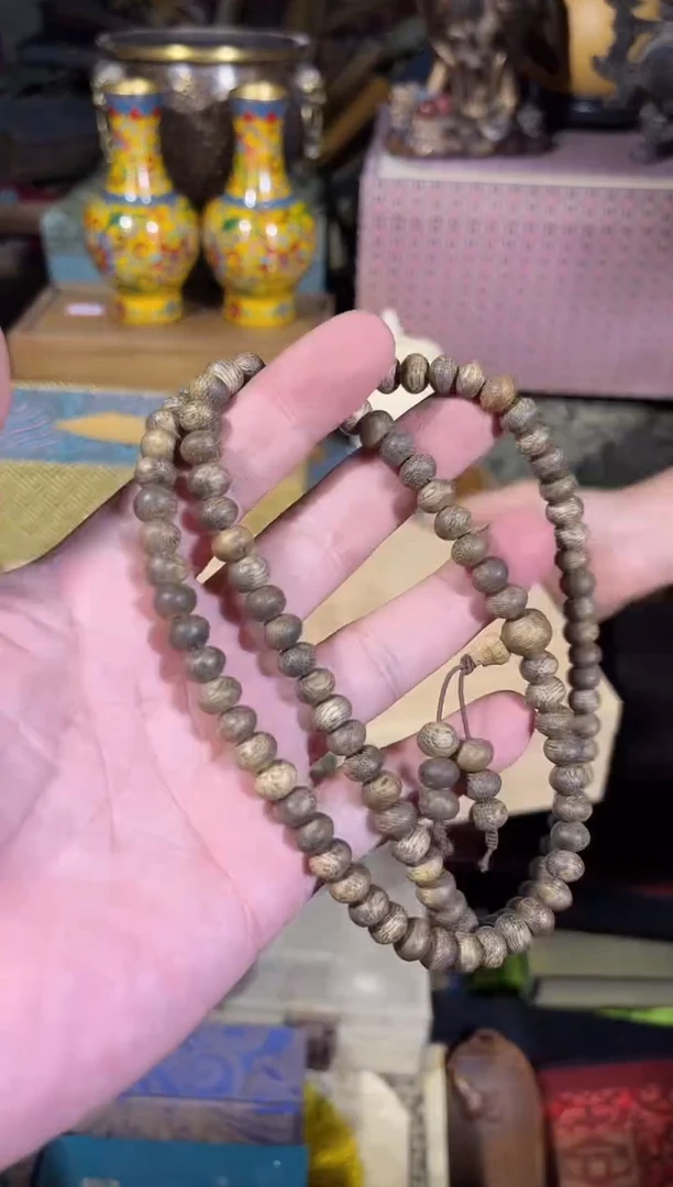 黄杨木11111111111111111111