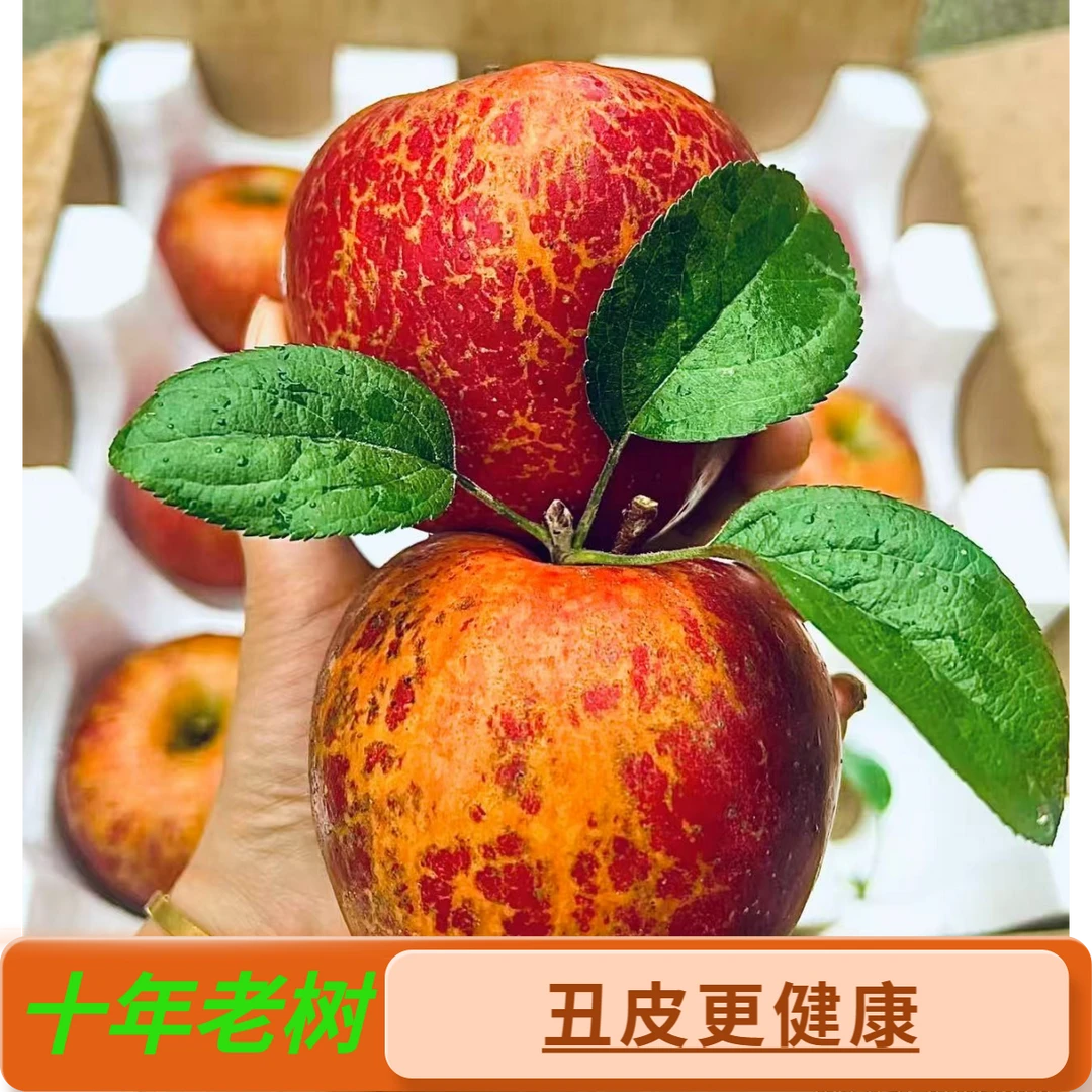 正宗云南昭通冰糖心丑苹果新鲜现摘网红小苹果脆甜多汁甜蜜非凉山