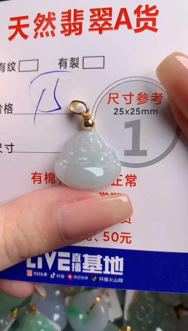 翡翠未镶嵌颈饰24000328