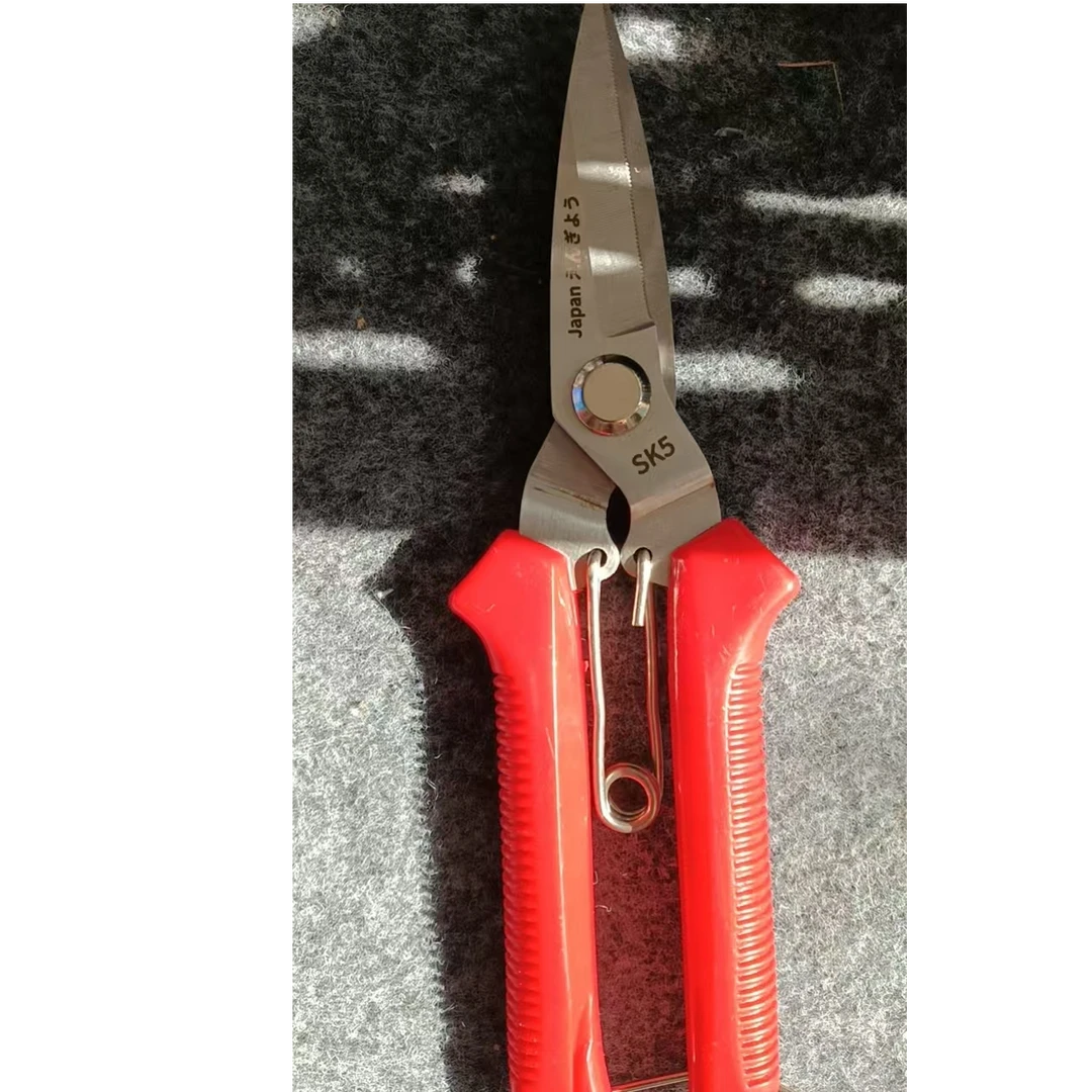 多功能加长不锈钢果剪园艺修枝剪采摘蔬果花卉实用剪刀