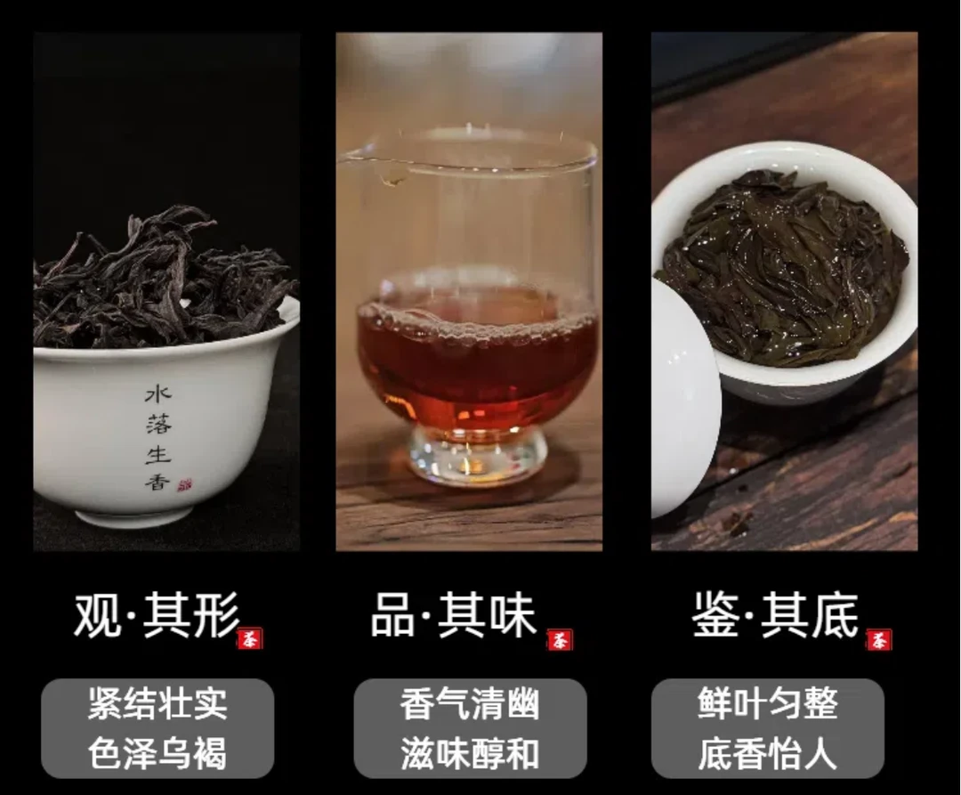 代拍链接【3】武夷岩茶