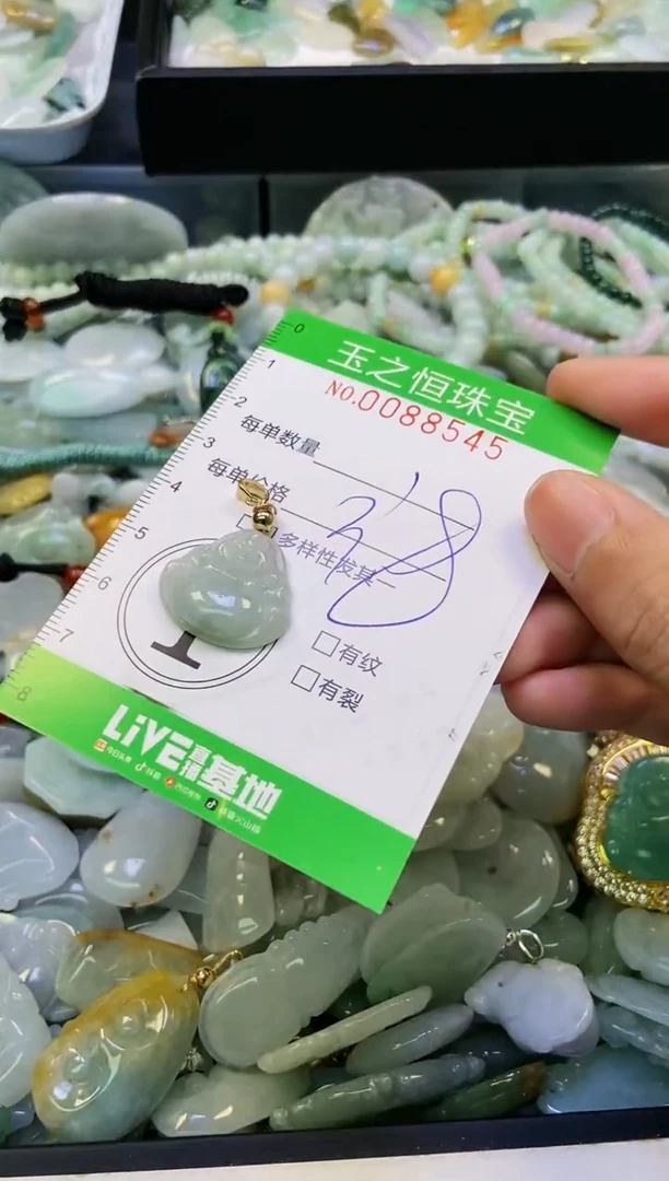 翡翠未镶嵌颈饰闪购0088545