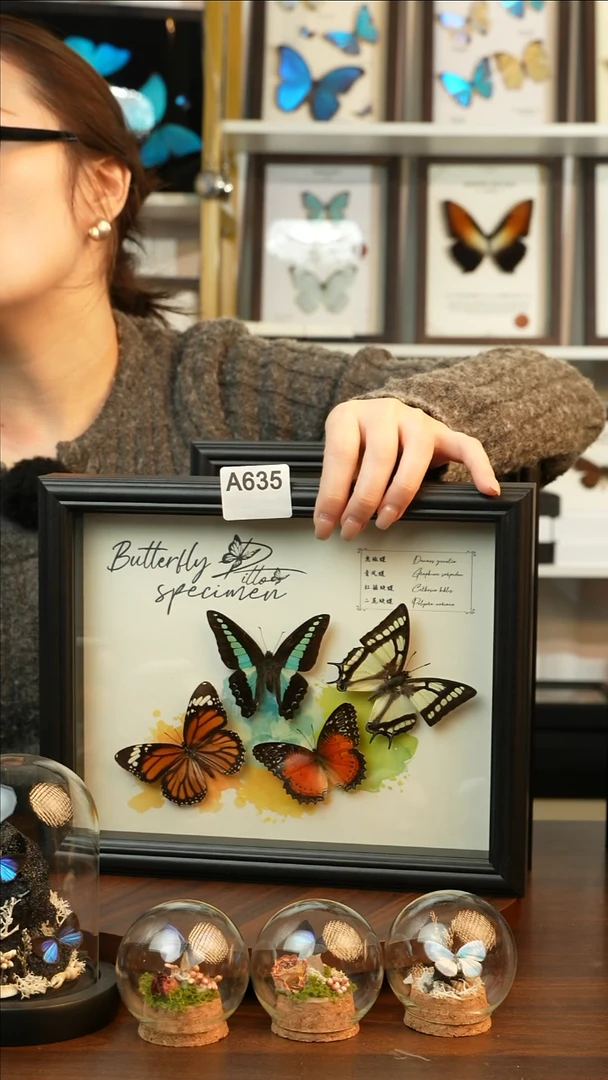 四色蝴蝶组合（10寸欧式黑框）A635