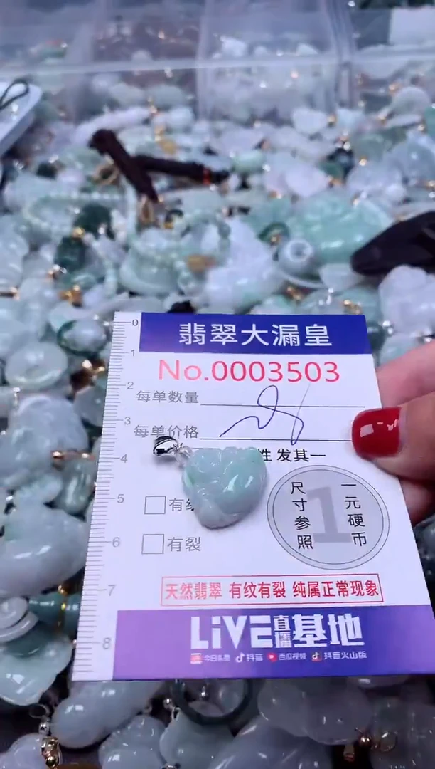 颈饰未镶嵌翡翠3503