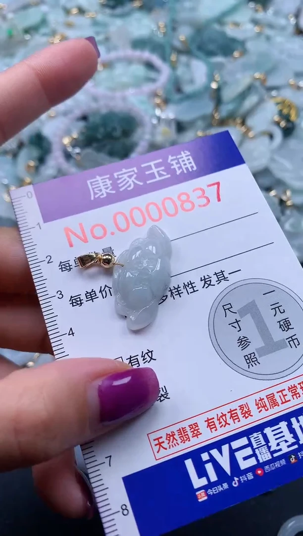颈饰未镶嵌翡翠837