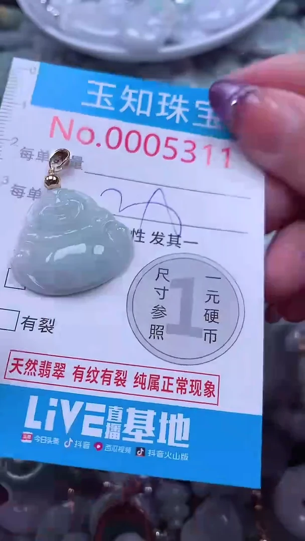 翡翠未镶嵌吊坠(不含链)5311