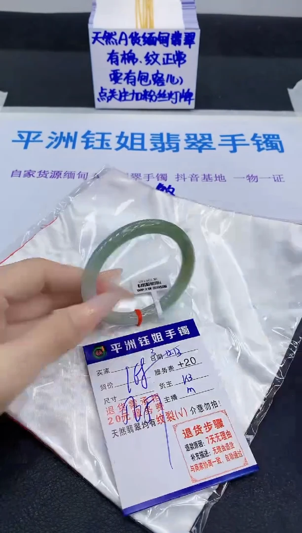 未镶嵌手镯翡翠11111