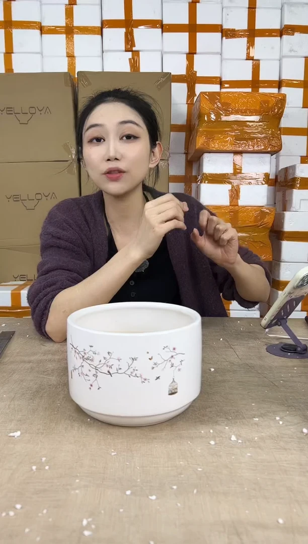 蝴蝶兰鸟笼白色小号18x12