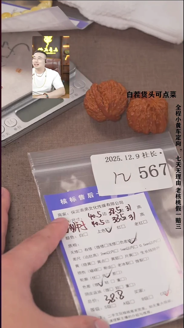 把件文玩核桃@*諘帝文化567白狮子