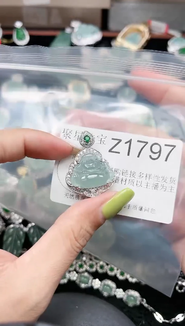 【闪购商品】翡翠颈饰未镶嵌赠皮绳1797