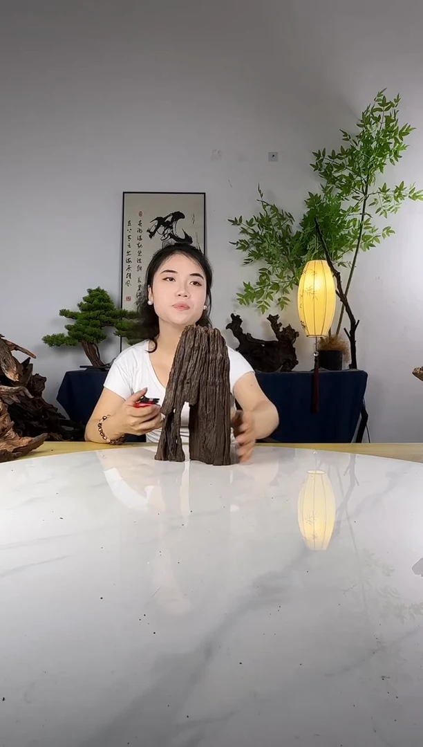花**君拍这个定向编号93