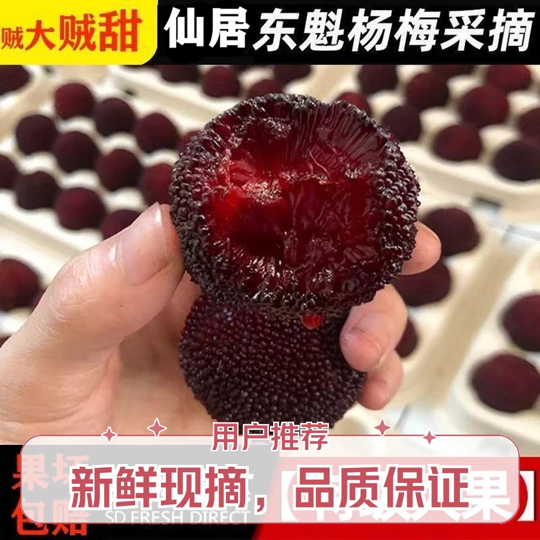 【8A现货现发】拍3斤送3斤带箱10斤仙居东魁大杨梅东魁新鲜水果原场地台州顺丰速运礼盒新鲜杨梅浙江省