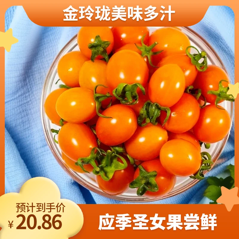 1.5斤尝鲜黄色金玲珑小番茄圣女果新鲜水果应季孕妇送礼12