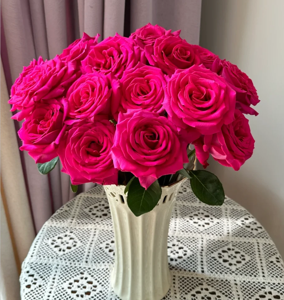 1单【包邮】弗洛伊德玫瑰 云南昆明基地直发零度以下需要拍保温棉