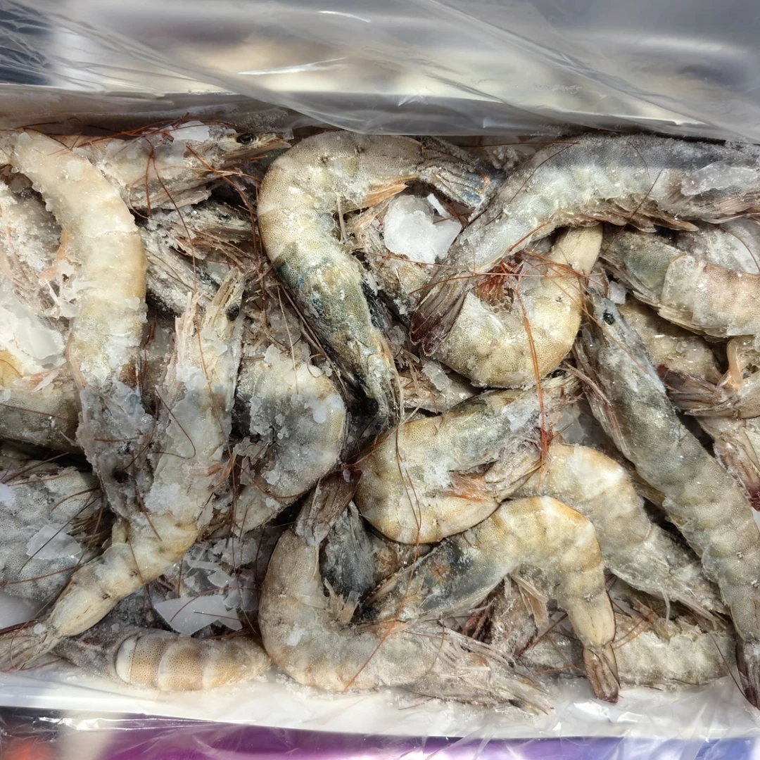 深海盐田青虾