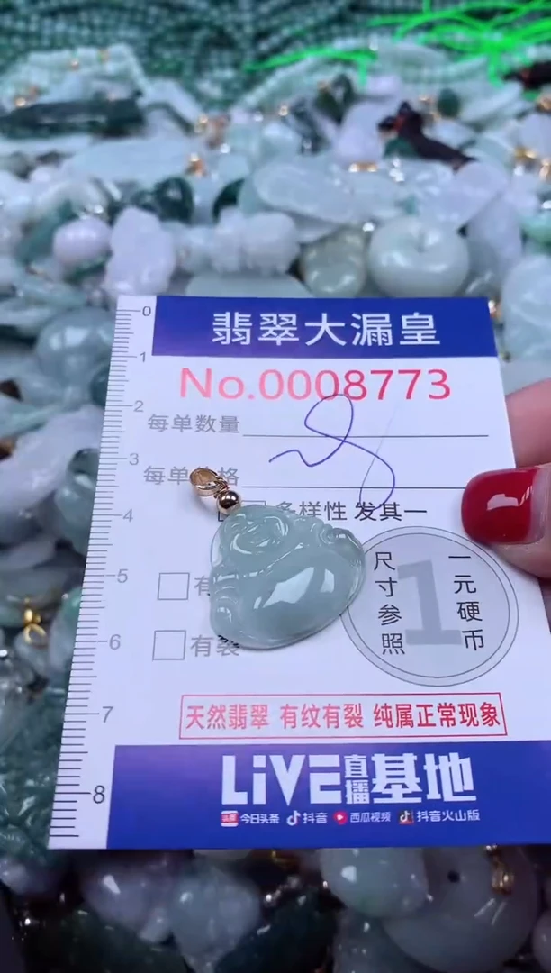 颈饰未镶嵌翡翠8773