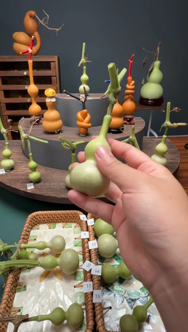 兔***?文玩葫芦摆件手把件青皮天津嘴