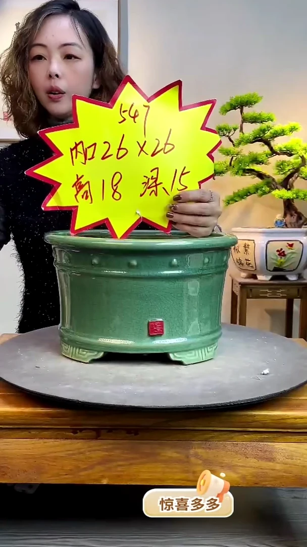 【闪购商品】陶瓷547深绿色