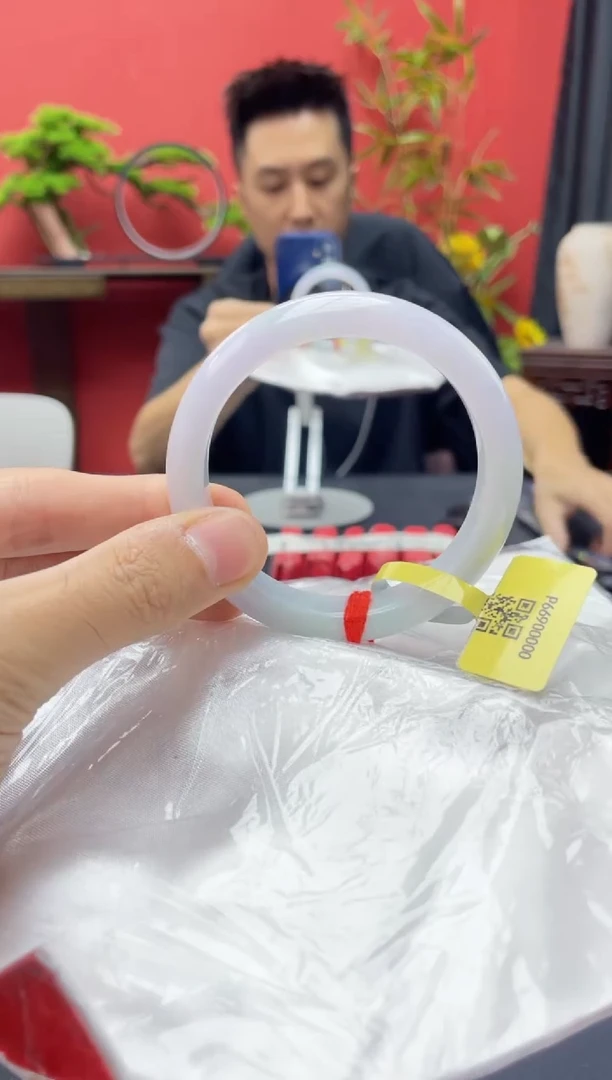 未镶嵌手镯翡翠5