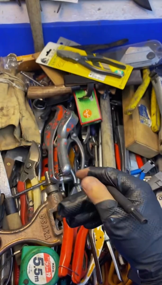 翱****里大白日本工具闪购链接