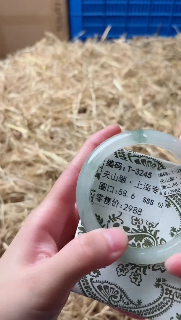 未镶嵌手镯石英质玉T-3245