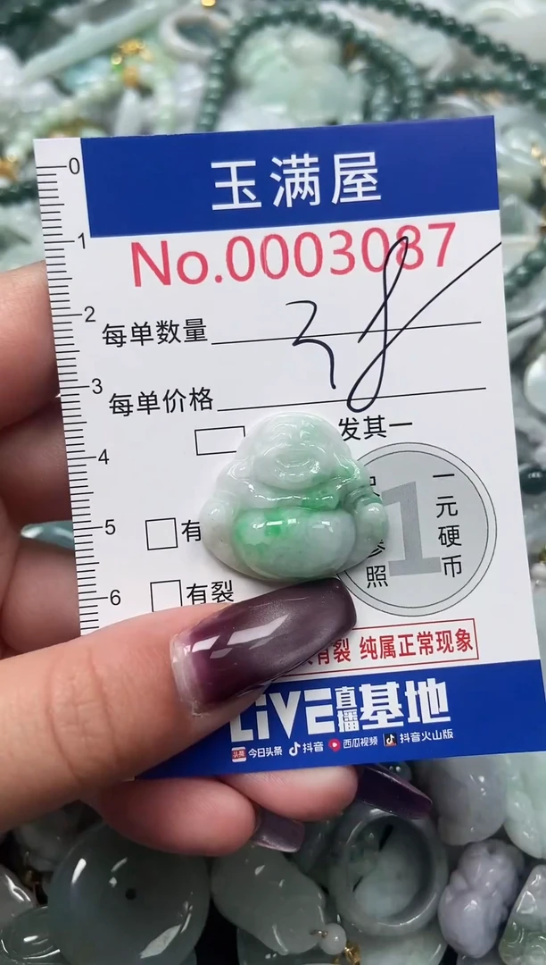 颈饰未镶嵌翡翠3087