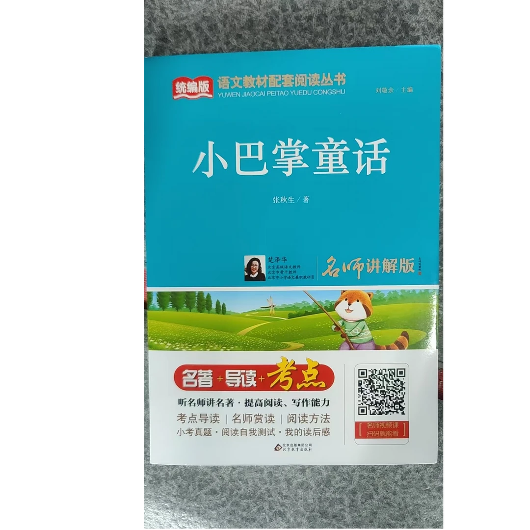 名师讲解版经典名著阅读涵盖小巴掌童话导读考点