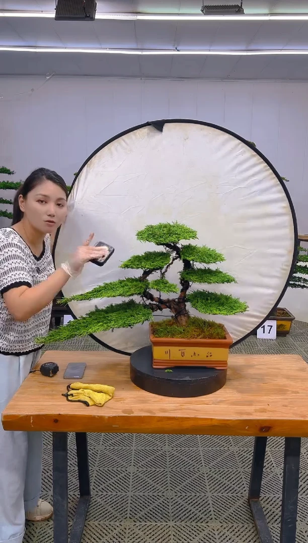 无花朵一物一拍一物一拍